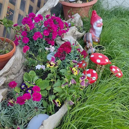 Дом отдыха Casa Filip Нэводари